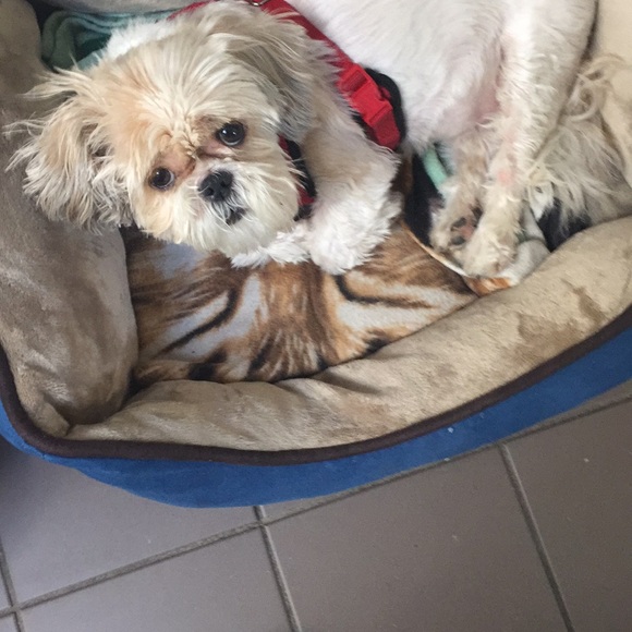 Meet your Posher, Susan - Picture 1 of 1